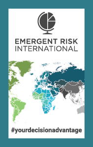 the logo for the emergency risk international